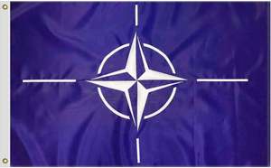Drapeau de la OTAN imprimé numériquement, résistant, 3x5 pieds, polyester 200D |   Surpiqûres à quatre rangs |   Fly Ends |   Décoration de jardin extérieure, cadeau pour la maison - Product Image 2