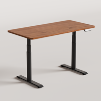 PRORIALS - Bureau électrique réglable en hauteur moderne et intelligent à double moteur, cadre en acier inoxydable durable, plateau en bois
