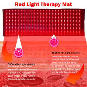 ODM OEM 180*60cm Pet Therapy tappetino 900 Pet Therapy luci LED sollievo dolore macchina <span class=keywords><strong>Pdt</strong></span> per cavallo rosso infrarosso terapia per il viso del corpo - Product Image 4