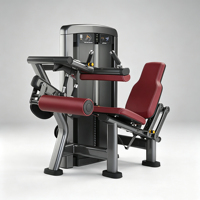 Siège et dossier ergonomiques rembourrés pour une posture d'entraînement confortable, machine combinée double fonction pour curls et extensions des jambes