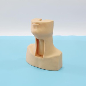 ผลิตภัณฑ์วิทยาศาสตร์ทางการแพทย์ที่เหมือนจริงเหมือนจริงโมเดลพีวีซีแบบมี J58ขั้นสูงสร้างแบบจำลองได้อย่างชัดเจนสำหรับโรงพยาบาลคลินิกวิทยาลัย - Product Image 3