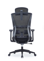 Chaise de bureau moderne en maille, design ergonomique avec soutien dorsal respirant, hauteur réglable, confortable pour une longue séance assise