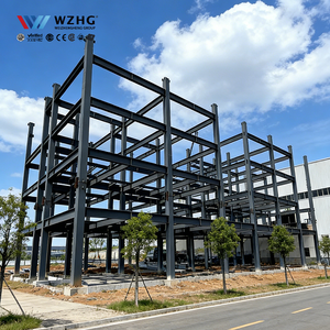 Hangar de Gran Envergadura con Estructura de Acero, Almacén, Taller, Hospital, Centro de Clasificación, Estándar de Calidad de Construcción Industrial para Sudamérica - Product Image 1