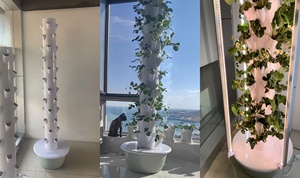 Torre hidropónica para interiores <span class=keywords><strong>con</strong></span> luces de <span class=keywords><strong>cultivo</strong></span> LED Torre hidropónica para verduras frondosas de 12 niveles - Product Image 5