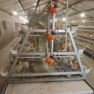 Superventa de Jaulas en Batería Tipo A para 160 Gallinas Ponedoras, las Más Baratas en África para Puesta de Huevos - Product Image 1