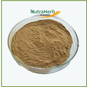 Extrait de saponaire pur avec poudre de sapindoside 40% extrait de sapindus pour soins capillaires et produits de nettoyage - Product Image 3