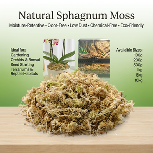 Musgo Sphagnum Esterilizado, Medio de Cultivo para Plantas Carnívoras, Germinación de Semillas, Marca Personalizable, Varios Tamaños (100g-10000g) - Product Image 1