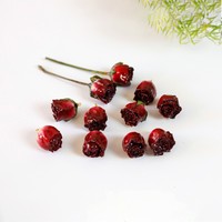 Délicat à la mode fleur séchée goutte à goutte colle fleur pendentif 3D vraie fleur Rose perle pour bricolage boucles d'oreilles collier Bracelet accessoires