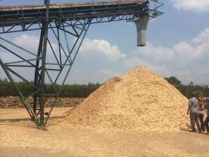 Copeaux de bois - Sciure de pin pour jardin et cages pour animaux - Product Image 2