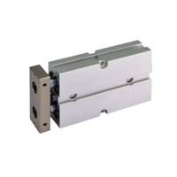 Haute qualité TN20 série pneumatique Double tige Piston TN pression d'air Pneumo cylindre
