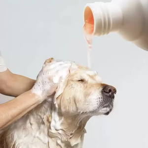 Atacado Pet Shampoo Cuidados Higiene Natural com Aloe Vera, Óleo da Árvore do Chá, Óleo de Vison, Neutro & Fórmulas Puppy - Product Image 6