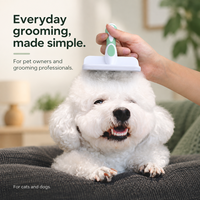 Nouvelle Brosse de Toilettage Douce pour Chien, Écologique et Confortable, en Plastique, pour Éliminer les Poils d'Animaux – Offre Spéciale