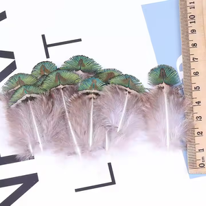 Plume de paon irisée en coquille d'or naturel petit plumage de <span class=keywords><strong>faisan</strong></span> pour la décoration de robe bricolage fait à la main fabrication de bijoux - Product Image 6
