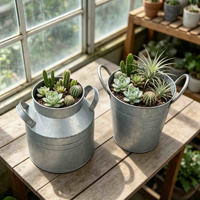 Ensemble de 2 pots à fleurs vintage en métal galvanisé, seau à lait en fer rustique avec poignées pour la décoration du jardin, du patio et de la maison