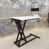 Carretilla Elevadora Eléctrica Plegable con Carga/Descarga Automática, Capacidad de Carga de 300 kg, Construcción Metálica, OEM Disponible