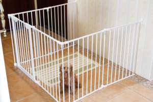 Autres fournitures pour animaux de compagnie, extension de barrière pour animaux, parc pour animaux pliable en métal, parc pour chiens - Product Image 4