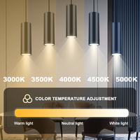 Spot LED sur rail COB 5 CCT réglable, lampe de plafond de haute qualité, éclairage intérieur contemporain pour hôtel, magasin, bureau, maison