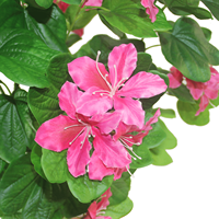 CHUANGFA Bunga Bauhinia Buatan 120cm - Dekorasi Dalam Ruangan Ramah Lingkungan dari Plastik untuk Thanksgiving & Pernikahan