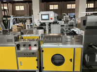 Máquina Extrusora de Filamento para Impresora 3D de Alta Precisión, Máquina para Fabricar Filamento PEEK para Impresión 3D