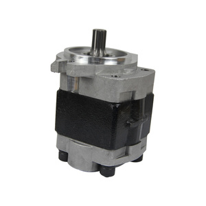 bibo LF Brand Speed 1500 Gear <b>Pump</b> <b>Small</b> Hydraulic <b>Pump</b> with 20Mpa 0.5 1 Year Warranty for 16 Ton - Product Image 1