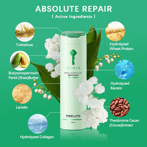 Usine professionnelle augmenter la brillance Moisturea Anti-pelliculaire soin apaisant nettoyage en profondeur shampooing réparateur absolu pour les cheveux endommagés - Product Image 2