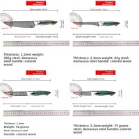 9-delige Damascus staal messenset met gekarteld lemmet, handgepolijst, multifunctioneel, Japanse stijl Santoku fruitmes, S-handvat