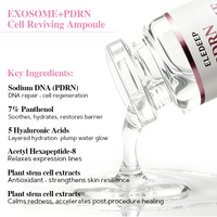 Nouvelle Ampoule Réparatrice Avancée N EXOSOME PDRN – Sérum Complexe Boostant les Cellules, Augmente la Densité Cutanée, Apaise les Rougeurs – Essence Coréenne pour Soins de la Peau