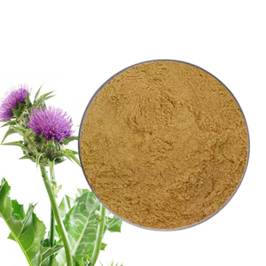 Gan làm sạch bổ sung chiết xuất cây kế sữa bột 98% silybin 80% Silymarin - Product Image 3