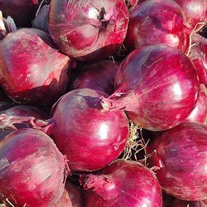 Chất Lượng Cao Tươi Hành Tây Bán Buôn Giá Rẻ Giá Tươi Màu Đỏ Hành Tây Hữu Cơ Tươi Hành Tây - Product Image 4