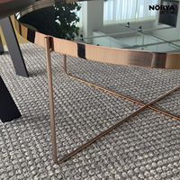 NORYA Tables basses modernes de luxe portables avec plateau miroir, tables d'appoint rondes, pieds en métal doré, meubles de salon écologiques