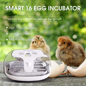 Onegg-bandejas para huevos de pájaro chicke, Incubadora de huevos totalmente automática, 16 - Product Image 2