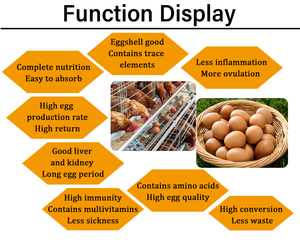 Fabrika fiyat Multivitamin ve Amino asit Oral çözüm 1L hayvancılık ve kanatlı ağırlığı Gainer sıvı sağlıklı büyümesini teşvik - Product Image 5