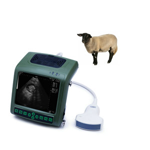 Instrumento veterinario Kaixin ES8, máquina de ultrasonido, oveja, cerdo, Cabra, cerdo, prueba de <span class=keywords><strong>embarazo</strong></span> ovina, ultrasonido veterinario - Product Image 2
