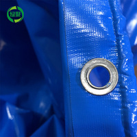 Bâche en PVC imperméable pliable sur mesure LVJU, 10 000 litres, pour bassin à poissons, étang à poissons