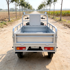 Triciclo Eléctrico de Carga ELK, Motorizado de Tres Ruedas, Acero, 60V 1000W+, Velocidad Máxima 30-50Km/h, Autonomía 50-70km, Carga Útil 400kg, Carrocería Abierta, Homologación DOT - Product Image 3