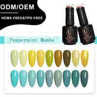 Vernis à ongles en gel UV certifié MSDS, fabrication en gros directe du fabricant, étiquette privée personnalisée, vernis à ongles professionnels pour salon