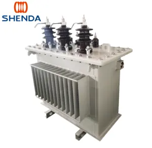 CESI KEMA IEEE IEC ISO CE 20 Years Professional Transformer Manufacturer Oil immersed Three Phase 10KV Distribution Transformer