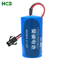 Batterie au lithium non rechargeable HCB ER34615 avec connecteur 3,6 V pour compteur d'eau intelligent, compteur de gaz, débitmètre