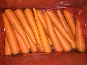 2025 vente en gros complexe de vitamines <span class=keywords><strong>C</strong></span> et B de qualité alimentaire carotte fraîche 10kg paquet d'origine Shandong fabriqué en Chine - Product Image 5