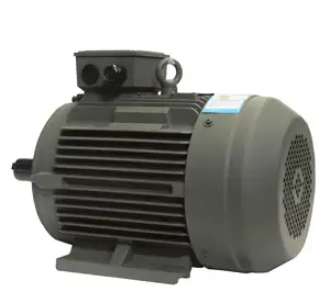 TYCP132S-8 2.2kw 3kw 4kw 1000rpm 8 מוט Pmsm מגנט קבוע סינכרוני מנוע חשמלי