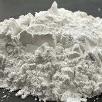 Argile Kaolin Ultra-Blanche Haute Pureté, Haute Luminosité 90%+, Amélioration de la Dureté de la Glaçure, Poudre Ultra-Fine Calcinée pour Peinture
