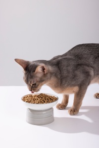 Nourriture sèche pour chats Lovovidovi riche en protéines avec saveur de poulet cuit, croquettes pour chats réduisant les allergies, 1,5 kg - Product Image 5