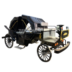 ZOWN Chariot de Mariage Électrique de Luxe Vintage de Haute Qualité pour Extérieur, Type Citrouille de Cendrillon - Product Image 6