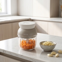 Groothandel Nieuwe Trend Glazen Knoflookmolen Hakselaar Processor Ui Knoflookknijper Multifunctionele Draagbare Elektrische Mini Voedselhakselaar