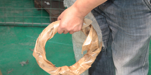 Gran oferta, mezclador directo de fábrica, bomba de hormigón, rodillo de camión, piezas de repuesto hidráulicas para estator de anillo de leva de 21/2" - Product Image 6