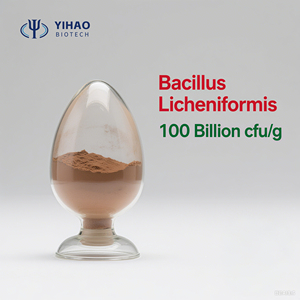 Offre Spéciale 10 milliards de probiotiques Bacillus subtilis Lactobacillus luttent contre les bactéries nocives dans l'aquaculture des crevettes - Product Image 3