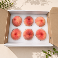 Boîtes en papier rigide écologiques haut de gamme avec logo personnalisé, fermeture magnétique pour l'expédition de fruits, emballage durable, couleur et taille personnalisées