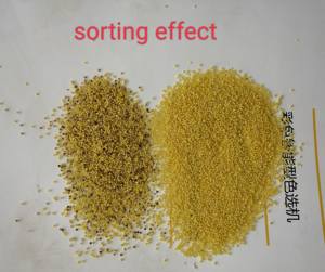 Machine de tri et de séparation des graines oléagineuses et du soja, séparateur de couleurs et de formes AI, équipement de tri des couleurs du <span class=keywords><strong>quinoa</strong></span>, <span class=keywords><strong>prix</strong></span> d'usine - Product Image 6
