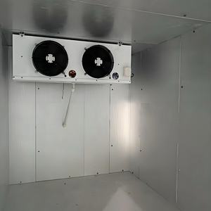 Container Frigorifero da 40 Piedi con Generatore Clip-On per Trasporto Marittimo, Ideale per l'Esportazione di Carne Congelata e Frutti di Mare - Product Image 5