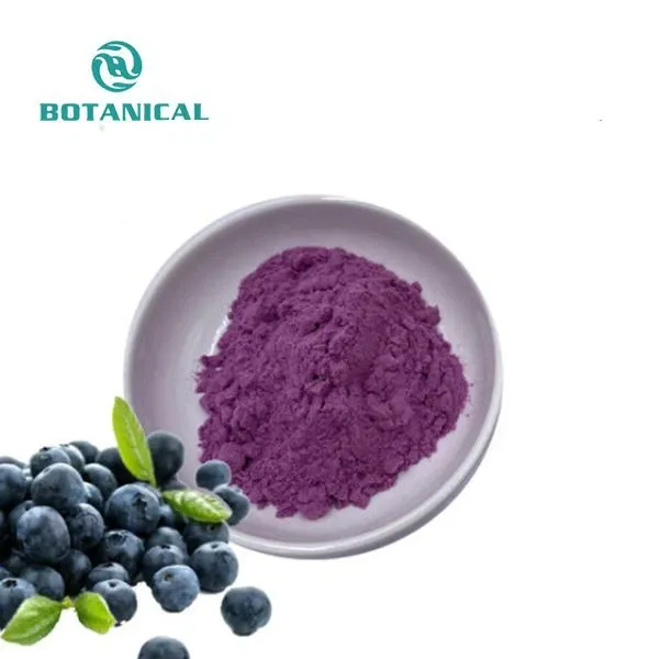 Functional drinks additives blueberry fruit extract powder supplement Freeze Dried Blueberry Powder